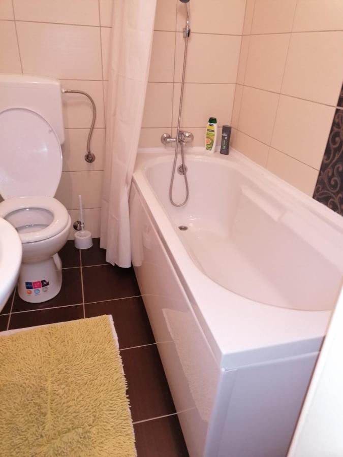 באניה לוקה Apartman Dajak מראה חיצוני תמונה